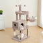 Heybly Cat Tree，HCT202SMU