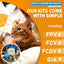 Feline/Cat HealthCheck 4-in-1 Test Kit ，Reliable Detection of Common Cats Illnesses ，Quick and Easy at-Home Testing