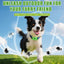 Natural Flea and Tick Prevention Dog Tag – Waterproof Collar Pendant with 3 Extra Refills, Green, Safe for All Breeds