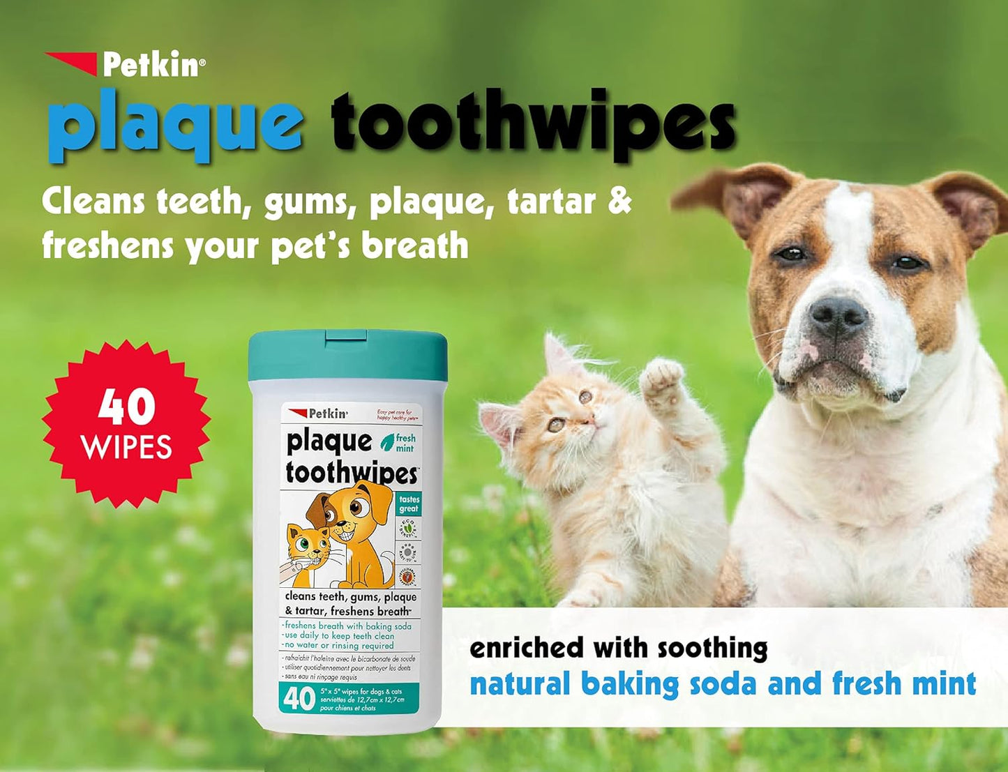 Petkin Cat and Dog Dental Wipes, 80 Wipes (Fresh Mint) (80 Wipes Total)