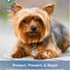 Natural Flea & Tick Repellent Collar Tag for Dogs & Cats – BioPower Pet Shield – Safe for Pets When Used as Directed – Lasts 1 Full Year - Regular Tag (1Pack)