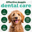 TropiClean Fresh Breath Water Additive for Dogs, Dog Breath Freshener and Teeth Cleaning Solution, No Toothpaste or Toothbrush Required, 33.8oz. Visit the TropiClean Store