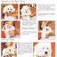 Eye Envy Gentle Action Dry Applicator Refill Pads for Dogs and Cats. 30 Count. Refill Reusable
