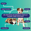 IBS, Diarrhea, Vomiting & Constipation – Inflammation Test Kit for Dogs & Cats – Fast, Non-Invasive Pet Testing - Vet Trusted Easy at-Home Stool Test