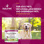 NaturVet Glucosamine DS Plus Level 2 Moderate Joint Care for Dogs and Cats, 120 ct Soft Chews, Made in USA