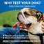 Canine/Dog HealthCheck 4-in-1 Test Kit ，Reliable Detection of Common Canine Illnesses