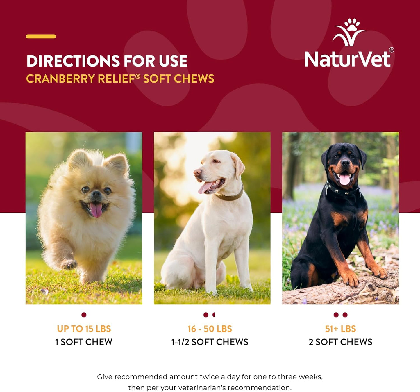 NaturVet Cranberry Relief 120 Count Soft Chew (Jar) with Echinacea for Dogs