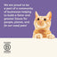 Applaws 100% Natural Wet Complementary Food for Kittens in Broth 70g Tin (Pack of 24)