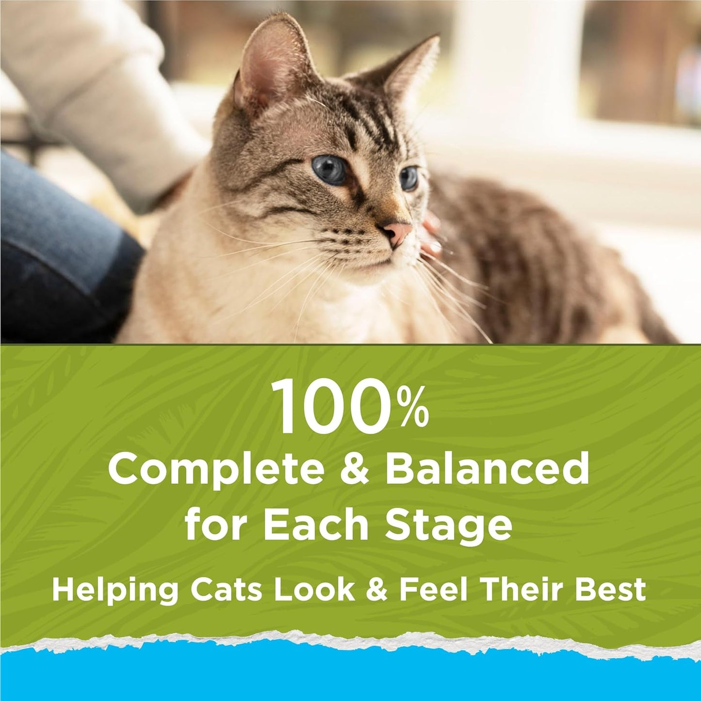 Hairball, Healthy Weight, Indoor, Natural Dry Cat Food, Naturals Indoor - 13 lb. Bag