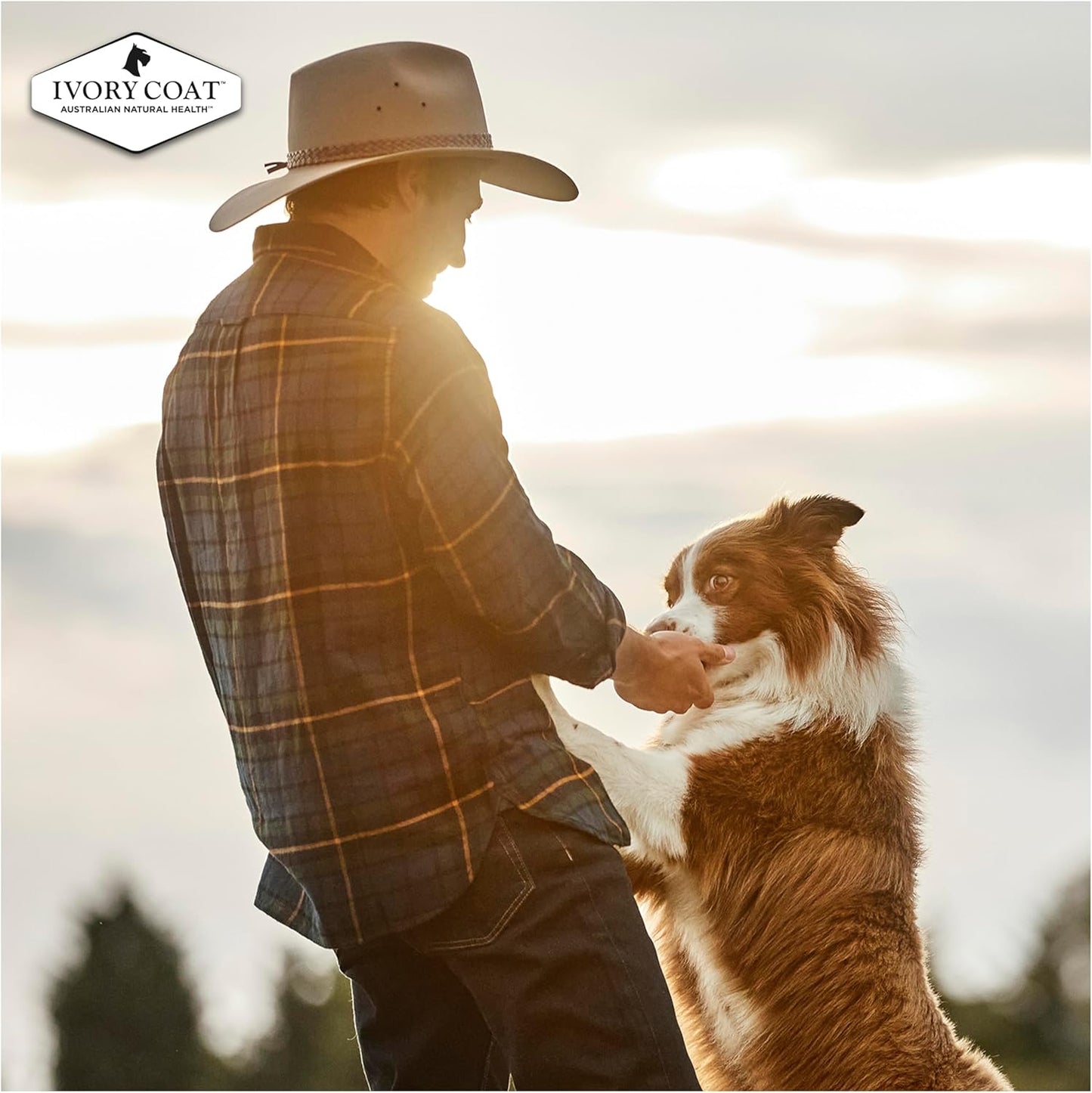Ivory Coat 17024 Adult and Senior Lamb & Kangaroo Grain Free Dog Food (13kg + 2kg Free, 15kg)