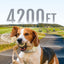 Jugbow Dog Shock Collar - 4200FT Dog Training Collar with Remote for 5-120 lb Large