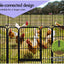 Beastie 24" Foldable Pet Dog Metal Playpen Enhanced, Universal Portable Pet Exercise Cage