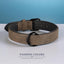 Didog Soft Padded Leather Dog Collar, Breathable Heavy Duty Dog Collar Leather with Adjustable Rust-Proof Metal Buckle for Small Medium Large Dogs, Brown, M