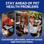 Pet H. Pylori Health Check Kit (2-Pack) – at-Home Testing for Dogs & Cats, Quick Results & Stress-Free Care