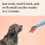 Wisdom Panel Premium: Most Comprehensive Dog DNA Test for 260+ Health Tests |