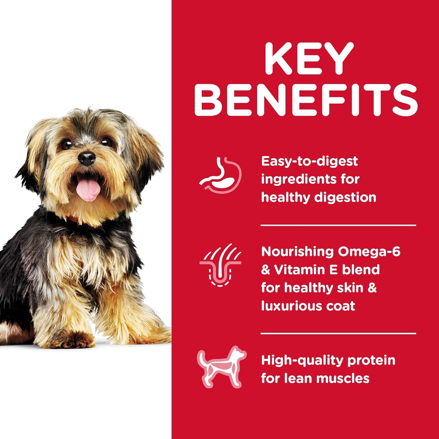 Hill's Science Diet Adult Small & Mini Dry Dog Food 1.5kg