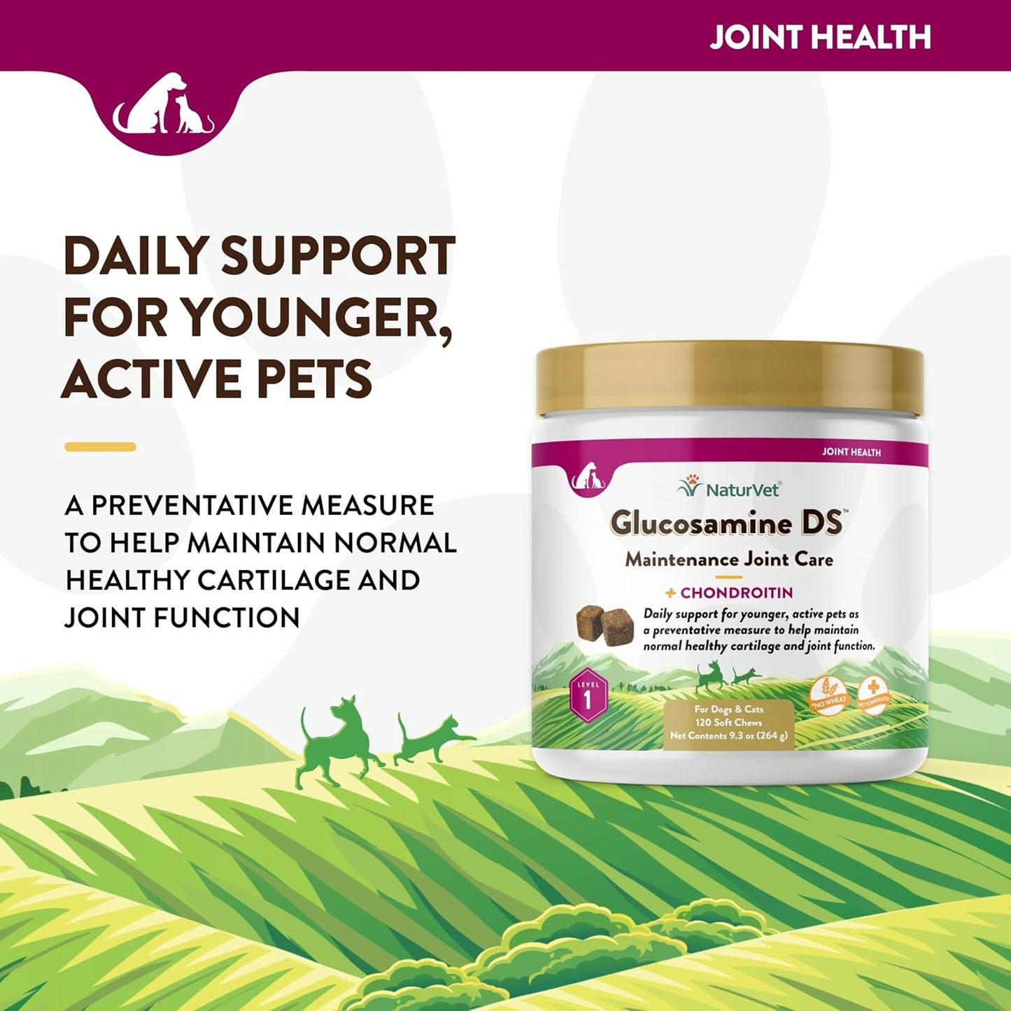 NaturVet Glucosamine DS Level 1 Maintenance Joint Care for Dogs and Cats, 120 ct Soft Chews, Made in USA