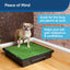 PetSafe PWM00-14497 Pet Loo- Small Portable Toilet for Dogs and Pets, Compact, Hygienic for Indoor Use, with Grass Pad, Black