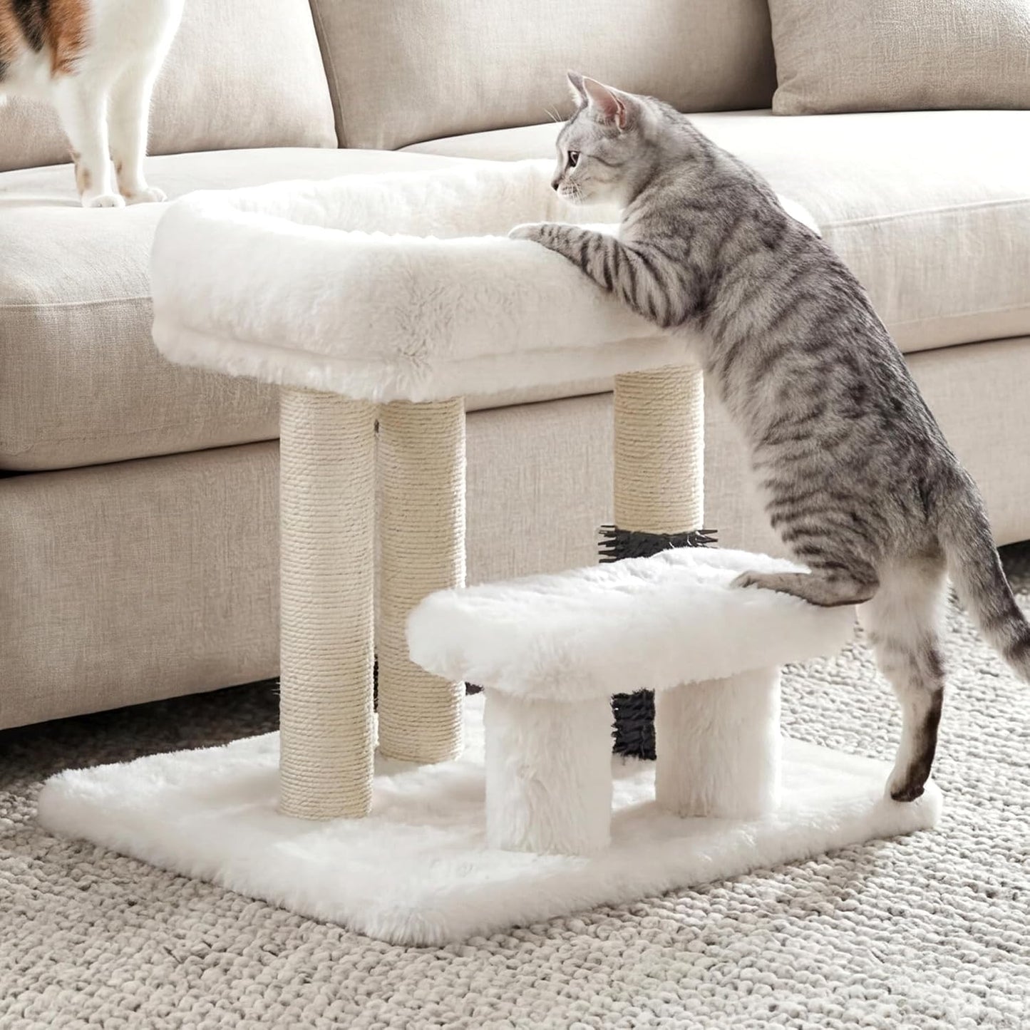Heybly Cat Scratching Post with Grooming Brush & Gentle Step, HSP001SWH | White