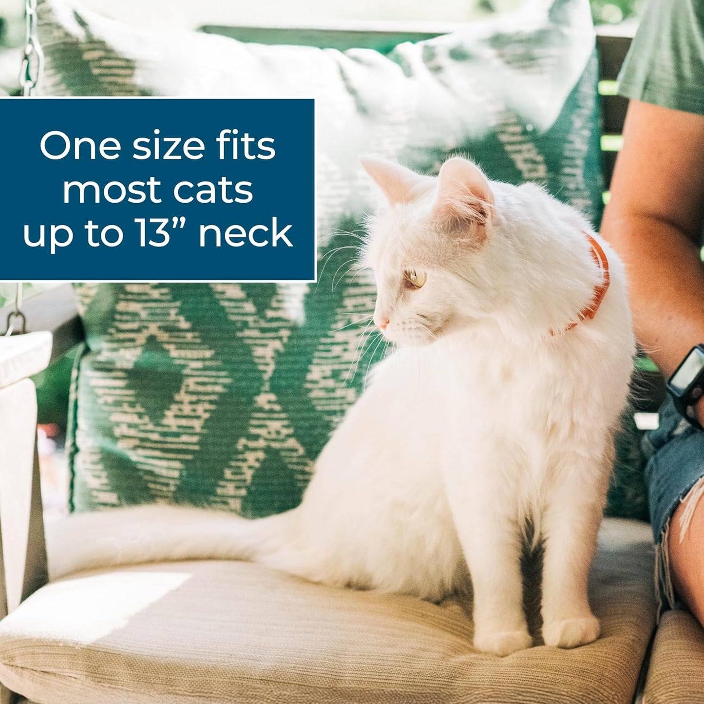 Wondercide Cat Collar - Flea, Tick, and Mosquito Repellent for Cats - with Natural Essential Oils - Pet and Family Safe - Up to 4 Months Protection