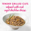 FANCY FEAST Delights With Cheddar Adult Wet Cat Food Grilled Chicken & Cheddar Cheese Feast in Gravy 24x85g