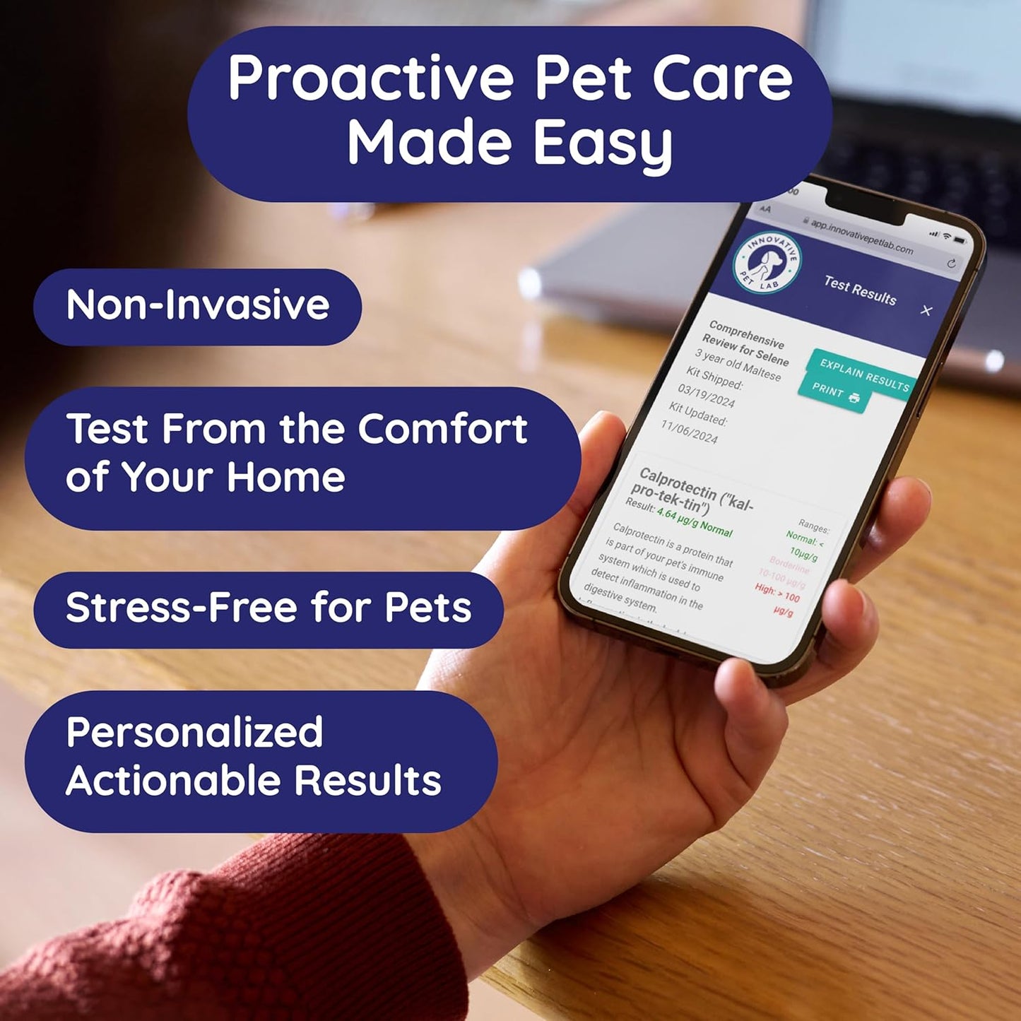 Basic Gut Test Kit – for Diarrhea, Itchy Skin, Mood Changes & Discomfort – Non-Invasive & Fast Results - Vet Trusted - Easy at-Home Stool Test - for Dogs & Cats