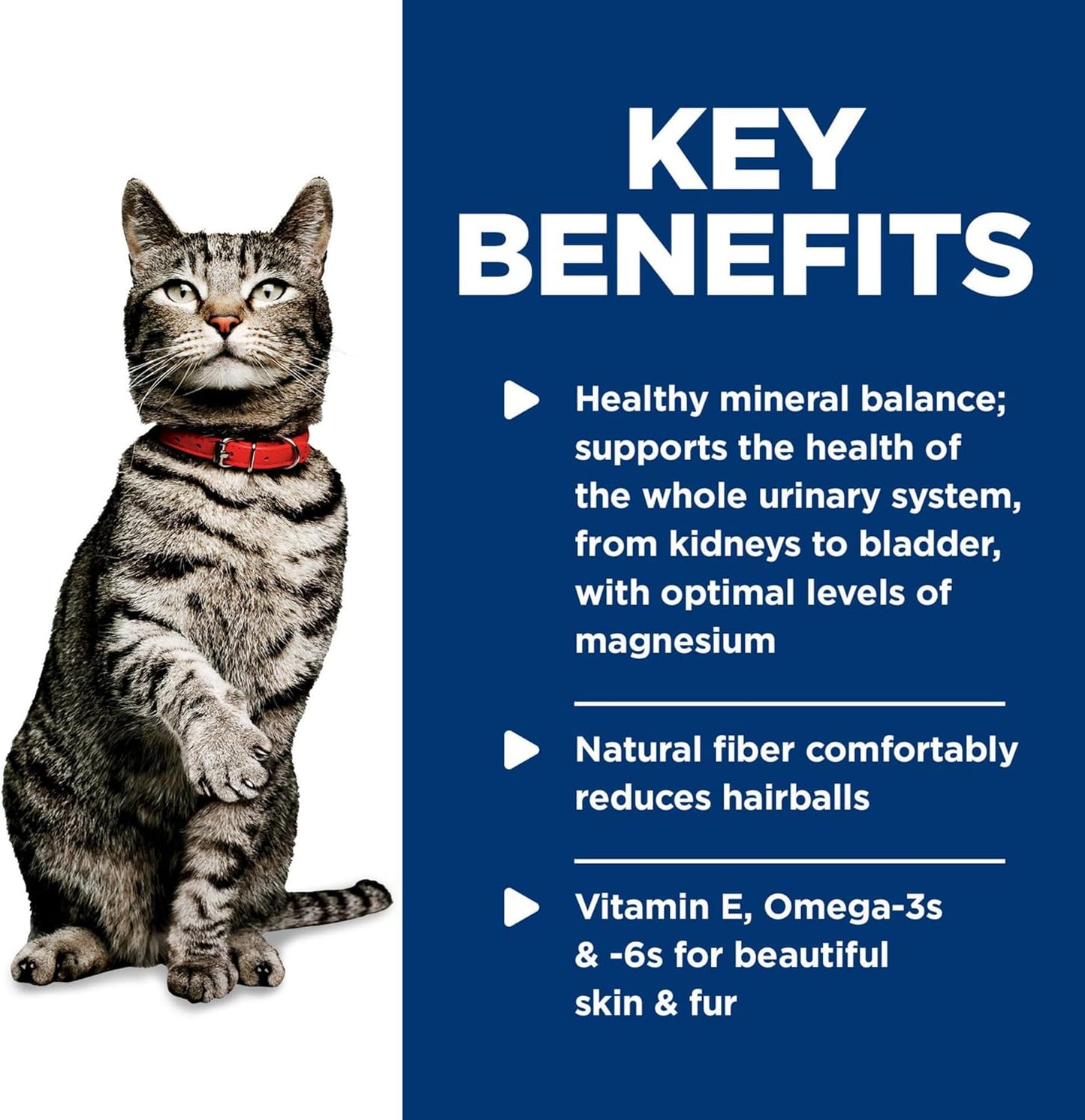 Hill's Science Diet Adult Wet Cat Food, Urinary Hairball Control Savory Chicken Entrée, 82g, 24 Pack, Canned Cat Food