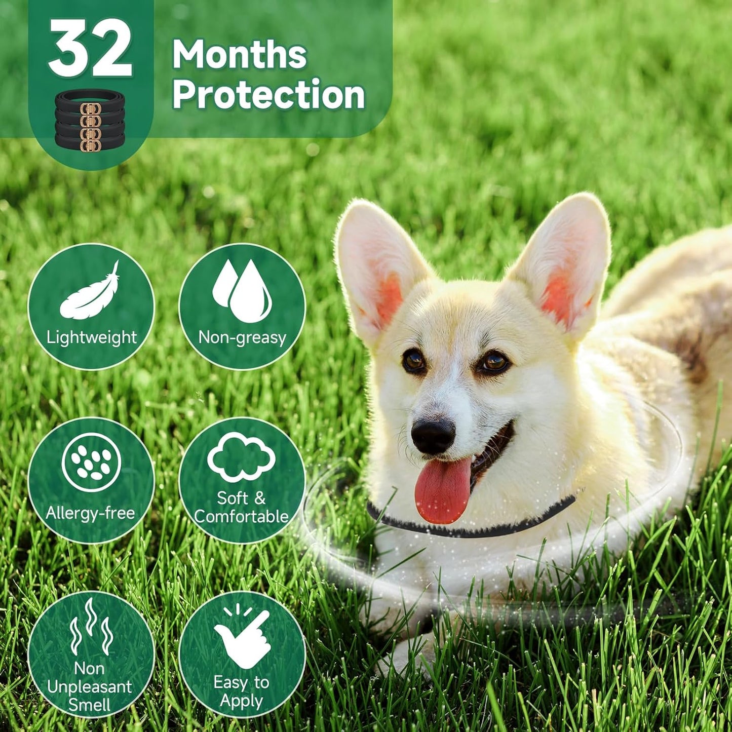 4 Pack Flea Collar for Dogs, Dog Flea and Tick Treatment, 8 Months Protection
