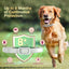 Natural Flea and Tick Collar for Dogs - 4 Pack, 8 Months Long-Lasting Protection, Waterproof, Adjustable Size for Small Medium and Large Dog