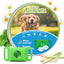 Natural Flea and Tick Prevention Dog Tag – Waterproof Collar Pendant with 3 Extra Refills, Green, Safe for All Breeds