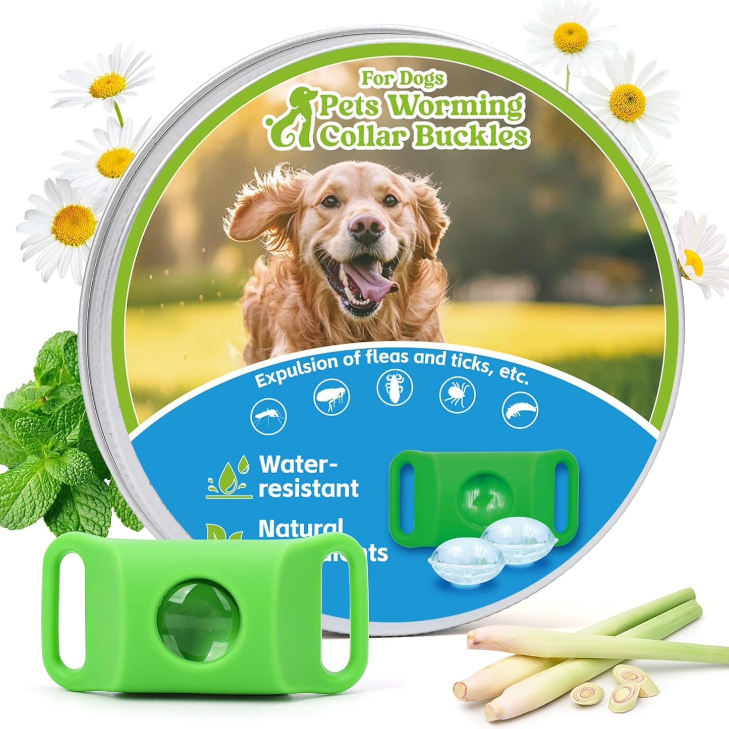 Natural Flea and Tick Prevention Dog Tag – Waterproof Collar Pendant with 3 Extra Refills, Green, Safe for All Breeds