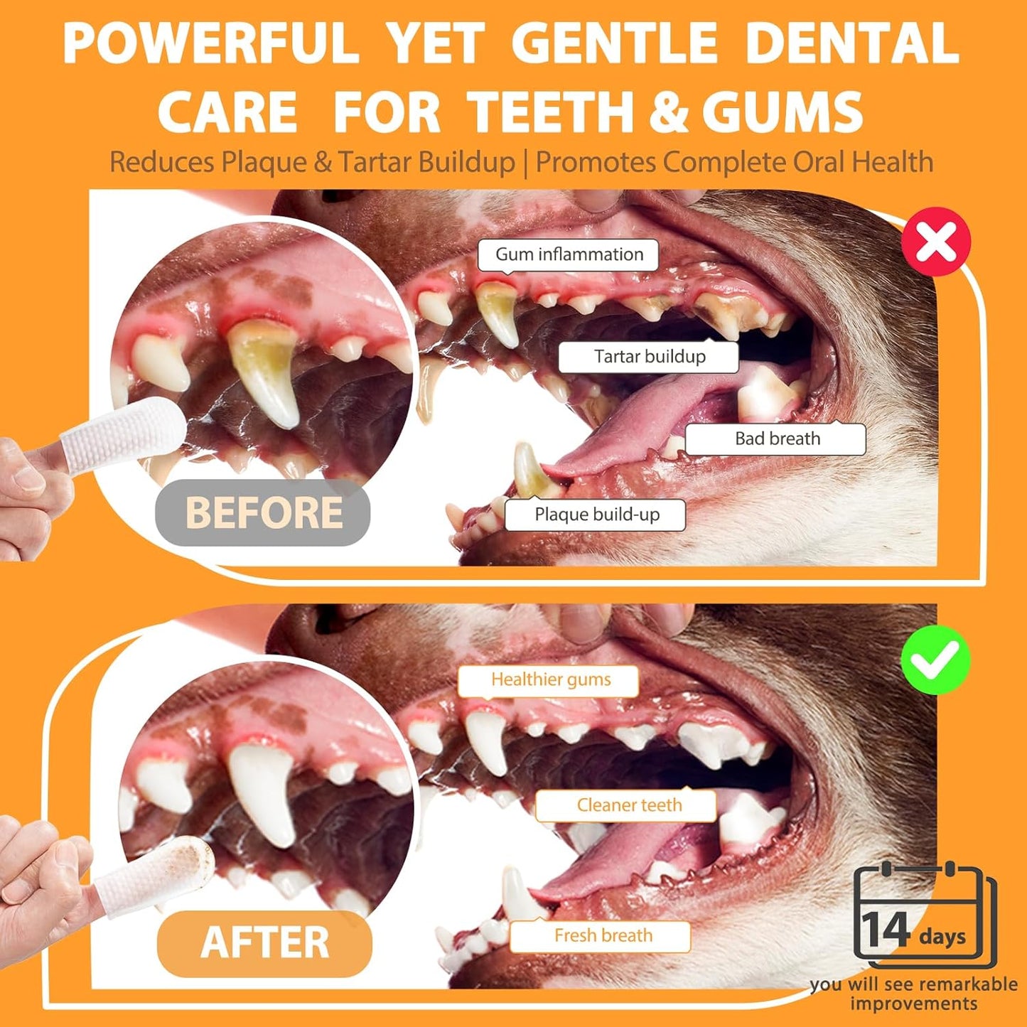 Pet Dental Finger Wipes for Dogs and Cats,50Pcs