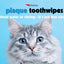 Petkin Cat and Dog Dental Wipes, 80 Wipes (Fresh Mint) (80 Wipes Total)