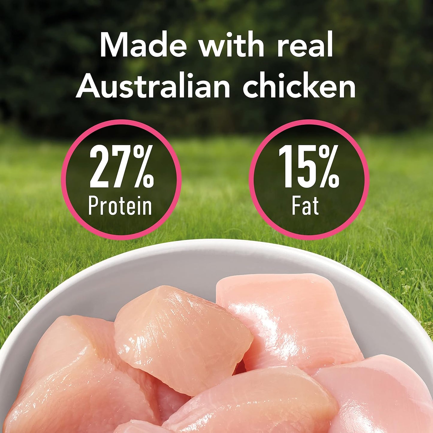 Puppy Chicken Dry Dog Food 12kg