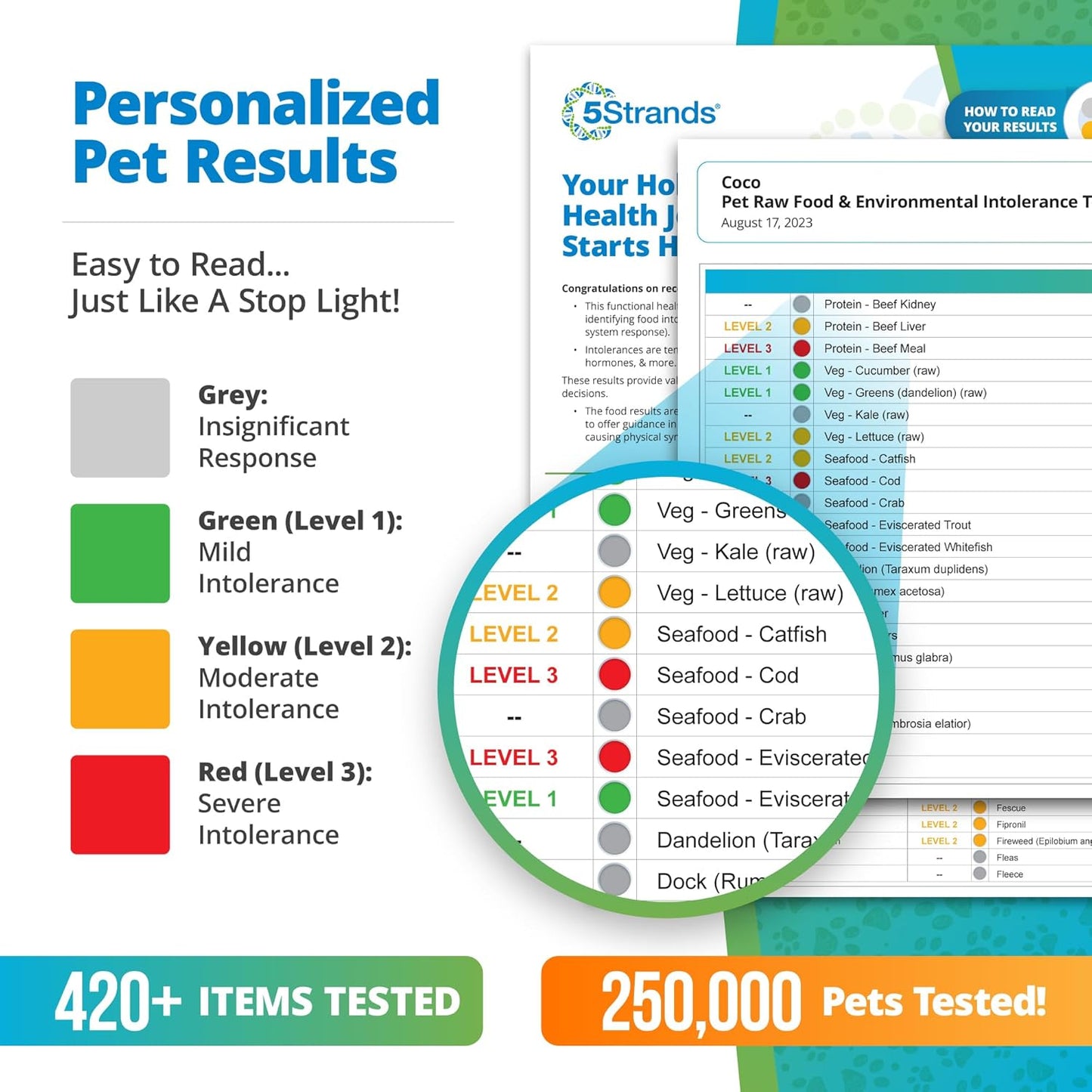 5Strands Pet Raw Food Intolerance & Environmental Sensitivity Test, at Home Test for Dogs & Cats,Results in 7 Days