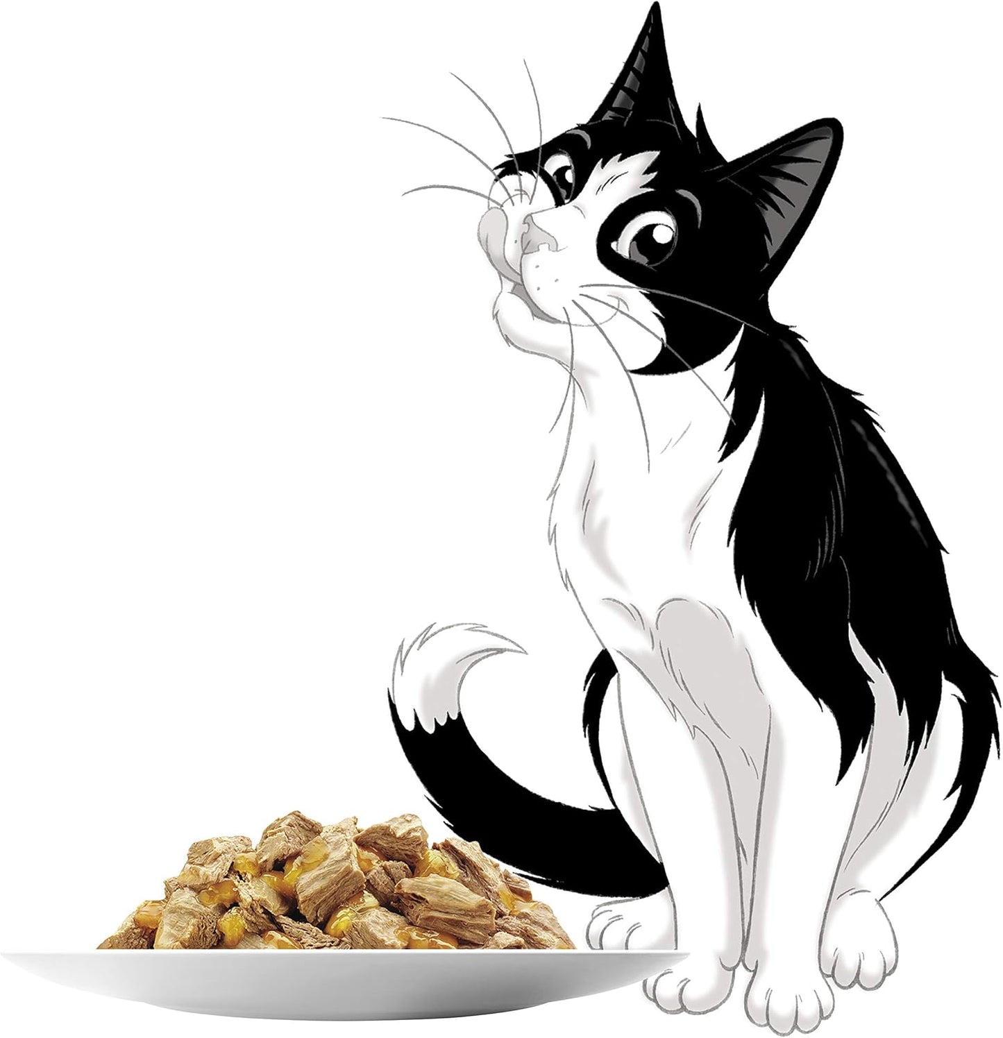 FELIX As Good As It Looks Adult Wet Cat Food Favourites Selection 60x85g
