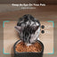 Peltibro Automatic Cat Feeder with Camera