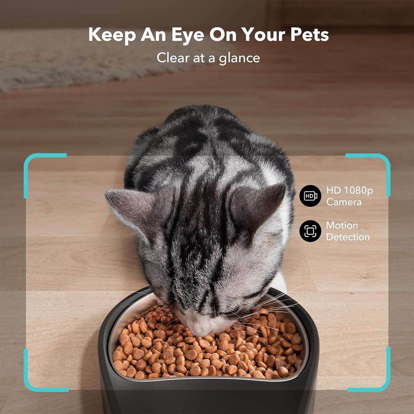 Peltibro Automatic Cat Feeder with Camera