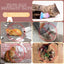 25 Pcs Catnip Cat Chew Toy Interactive Catnip Filled Kitten Soft Cotton Cat Toys