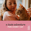 Applaws 100% Natural Wet Cat Food Mixed Variety Fish Deluxe in Broth Tin 70g (Pack of 32), Limited Ingredients Pet Food
