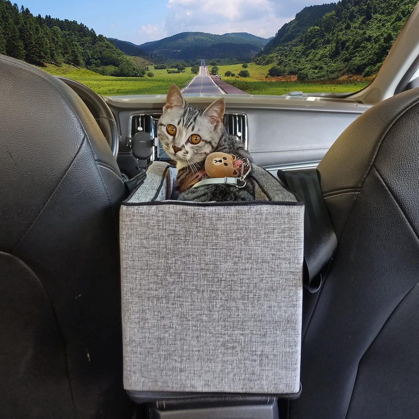 Anfower Center Console Dog Car Seat, Dog Car Seats for Small Dogs 0-15lbs