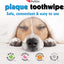 Petkin Cat and Dog Dental Wipes, 80 Wipes (Fresh Mint) (80 Wipes Total)