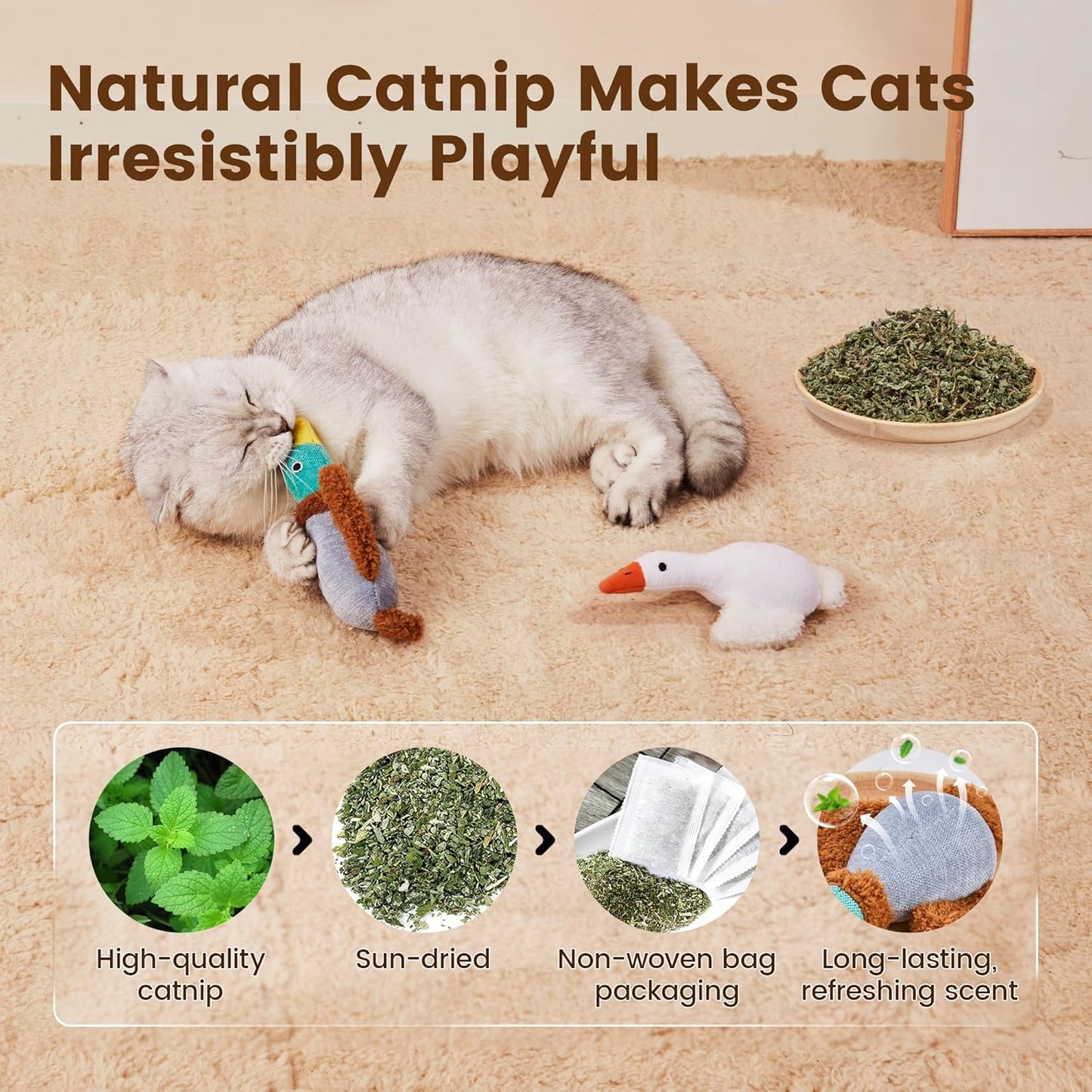 Potaroma Birds Cat Toys, 2 Pack Catnip Toys Soft Durable