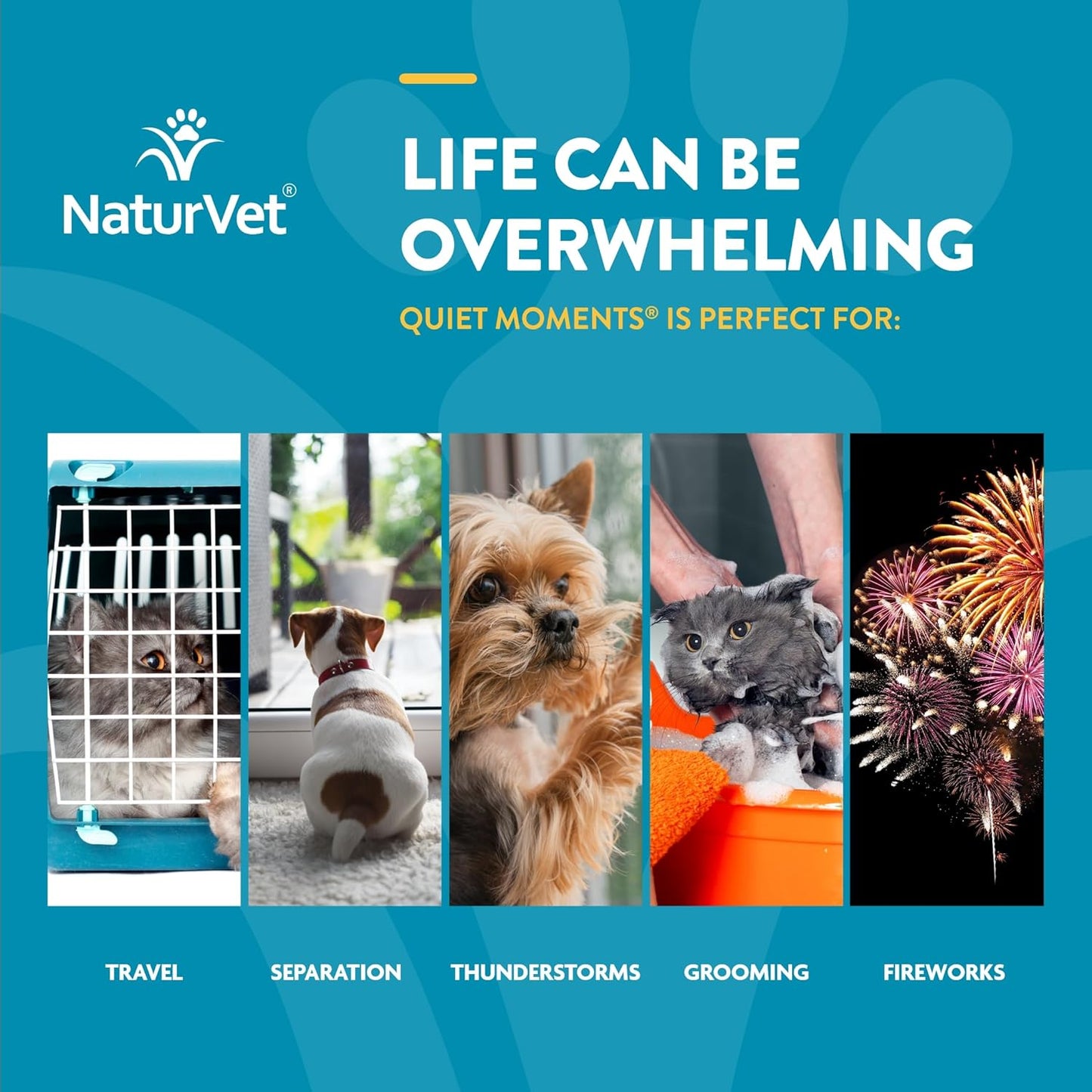 NaturVet Quiet Moments Calming Aid Dog Supplement