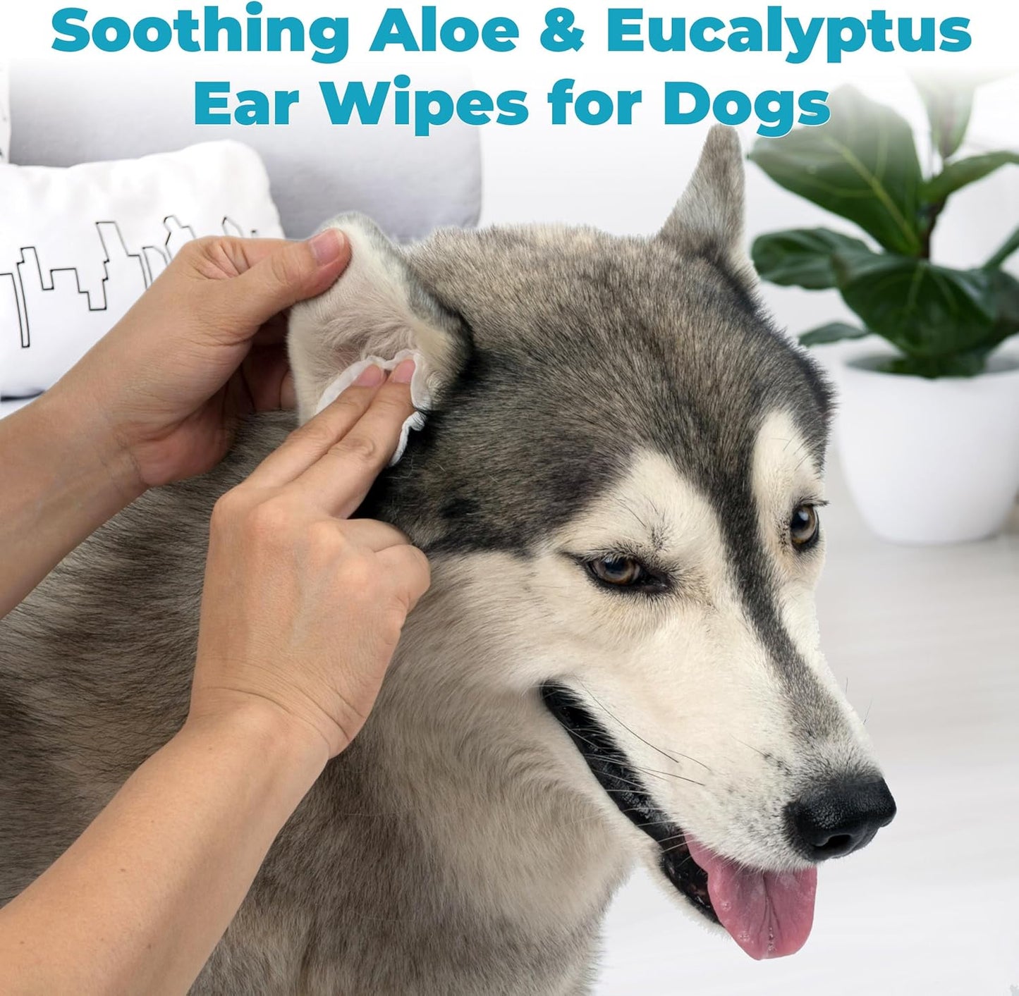 EarWELL by VetWELL Dog Ear Wipes - Otic Cleaning Wipes for Infections - 100 Count
