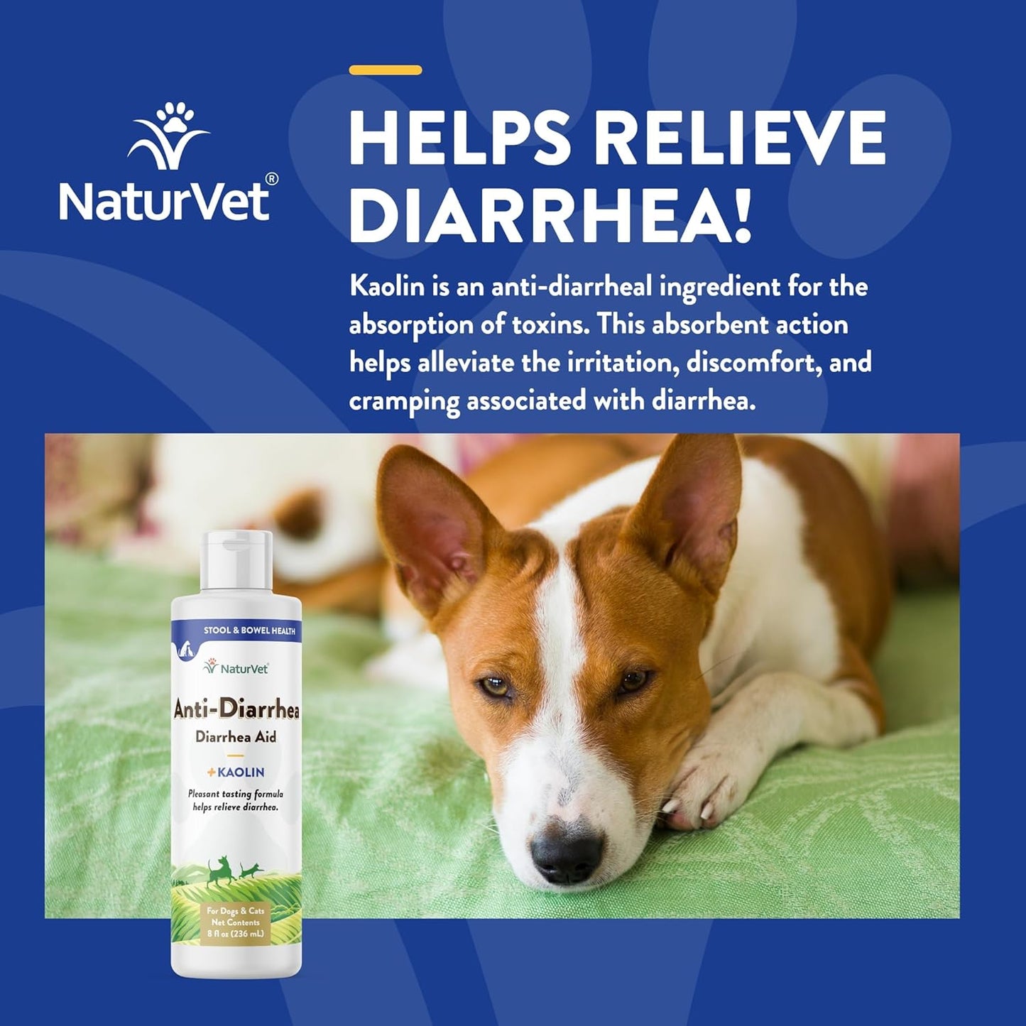 NaturVet Diarrhea Aid for Dogs and Cats, 237 ml