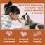 OUT! PetCare Go Here Attractant Indoor and Outdoor Dog Training Spray | House-Training Aid for Puppies and Dogs | 32 oz