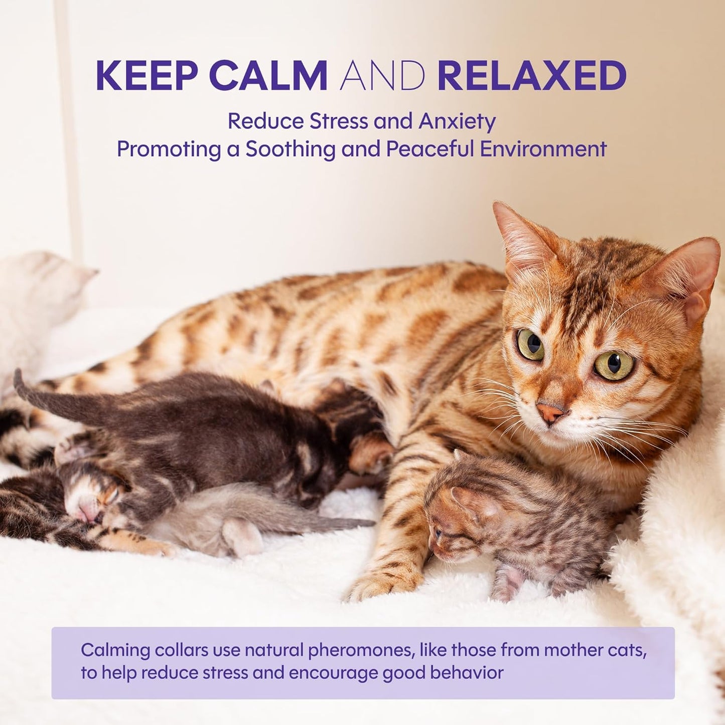 4 Pack Calming Collar for Cats: Anti Anxiety - cat Stress and Anxiety Relief
