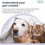 My Pet Health Store Allergen Sensitivity Test - Home Puppy & Kitten Allergy Test | 300 Checks | 3-5 Day Results | Non-Invasive Hair Sampling | Food & Environmental Analysis | Ideal for Young Pets