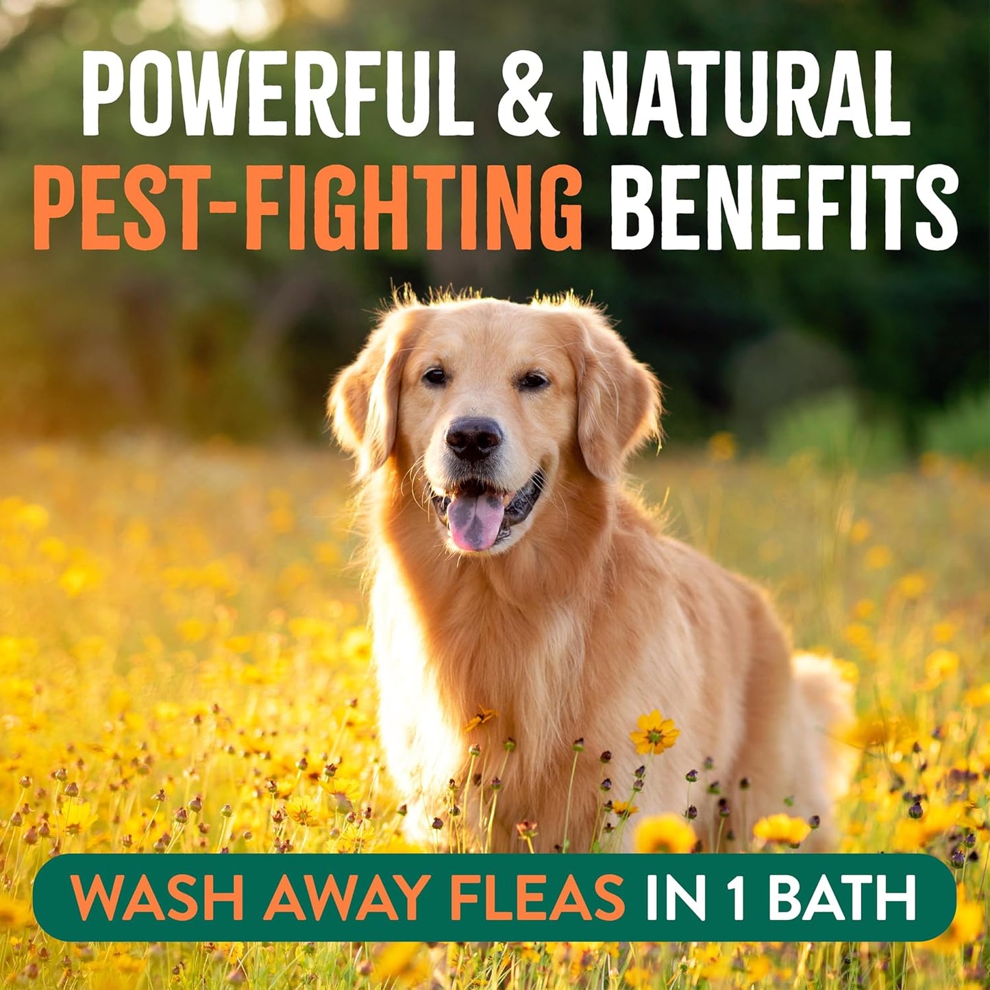 TropiClean Max Strength Flea and Tick Shampoo Treatment for Dogs,Made in USA, 20oz